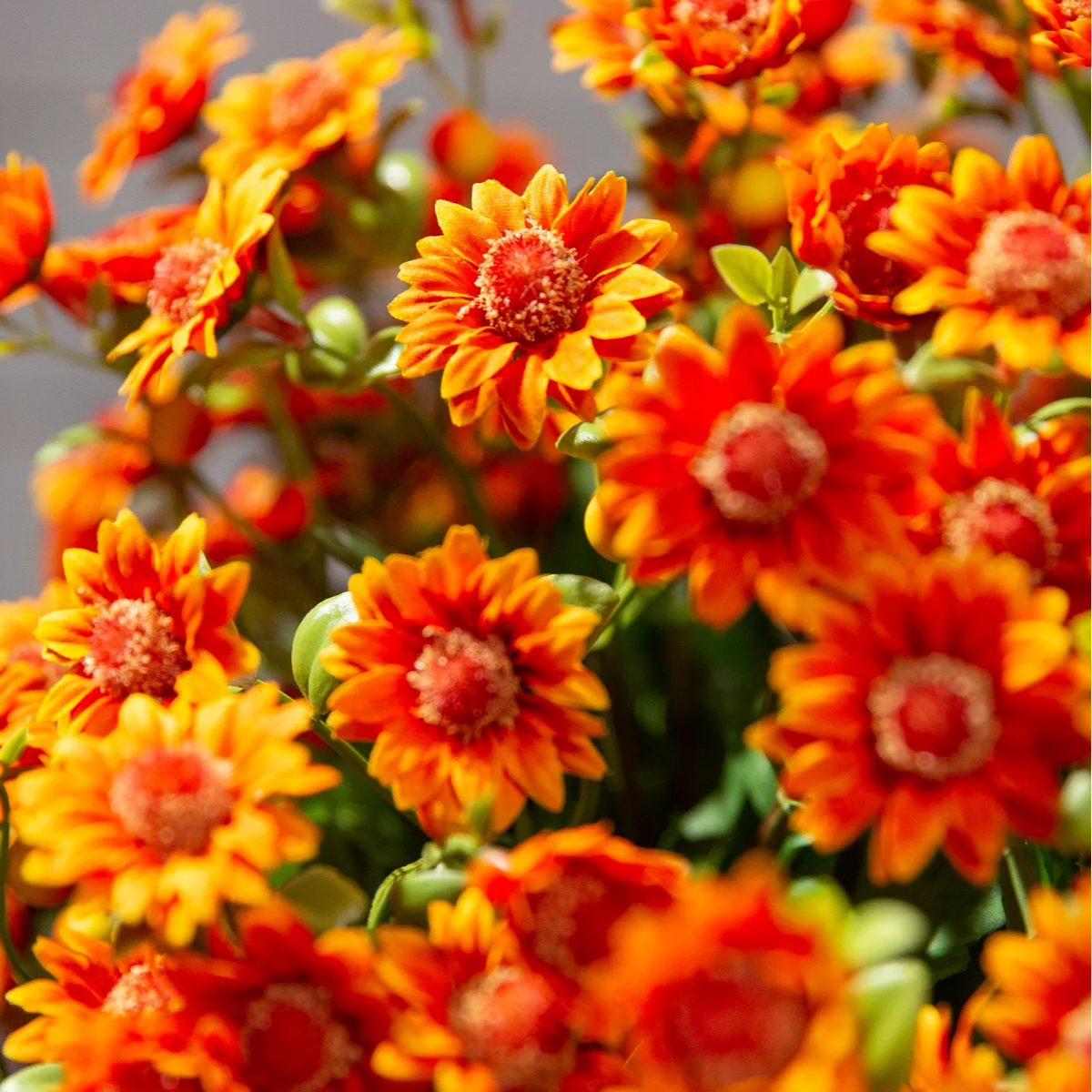💥Last Day 50% OFF🌼- Artificial Outdoor Sunset Mums Flowers - UV resistant, Waterproof, Windproof