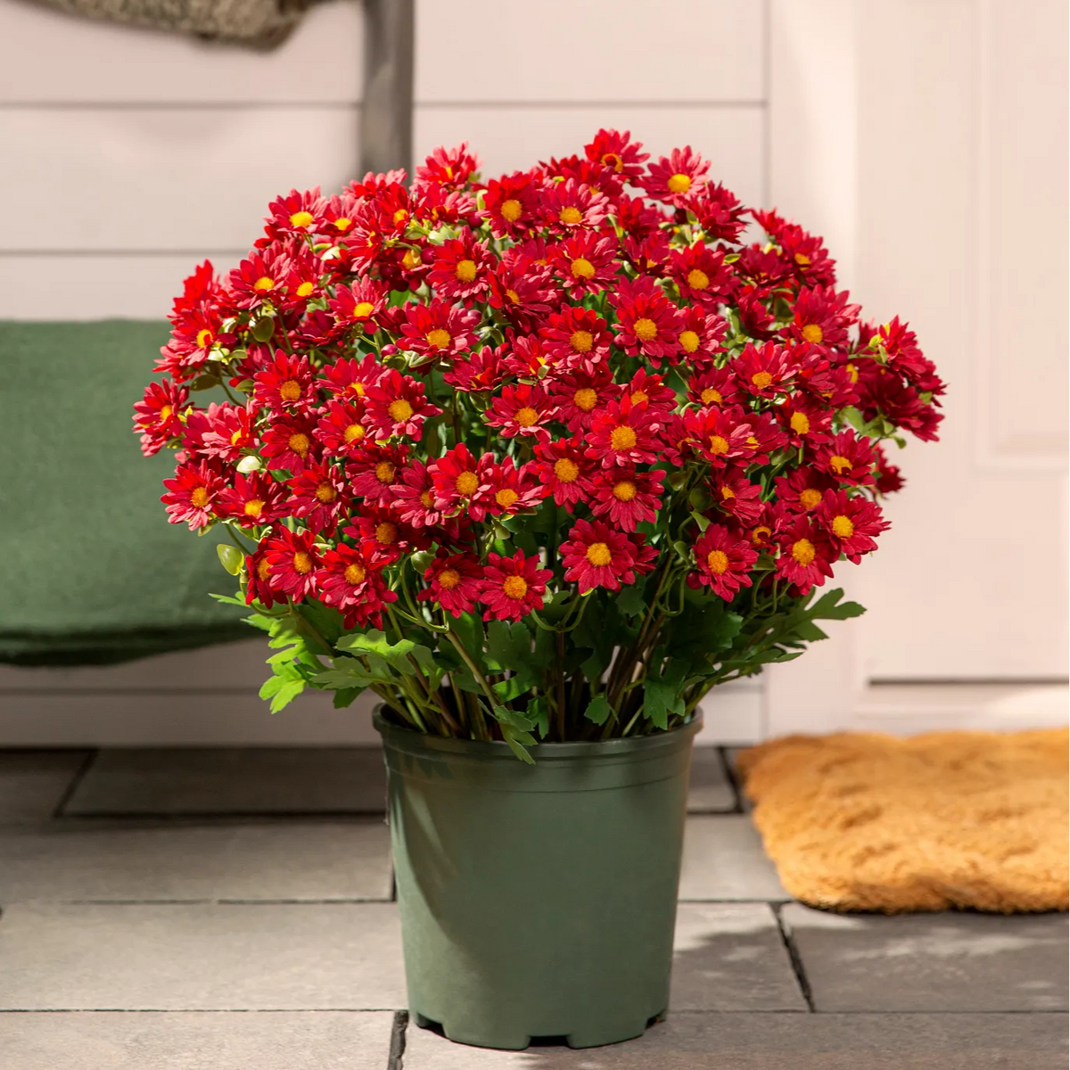 💥Last Day 50% OFF🌼- Artificial Outdoor Sunset Mums Flowers - UV resistant, Waterproof, Windproof