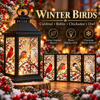 🐦 Winter Birds