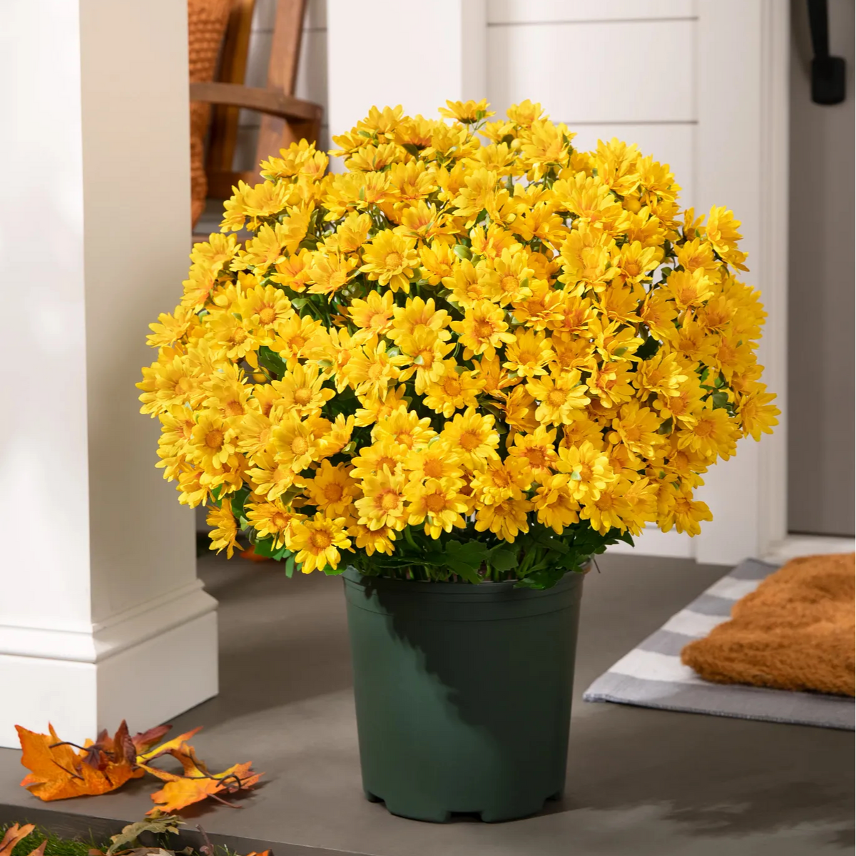 💥Last Day 50% OFF🌼- Artificial Outdoor Sunset Mums Flowers - UV resistant, Waterproof, Windproof
