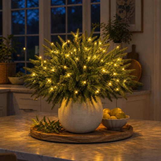 🏆2026 Super Value Set💥Christmas Enchanted Evergreen Pine