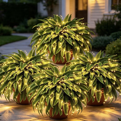 🌿 Glowing Boston Fern with Lights – Zero Water, Zero Mess, 100% Cozy