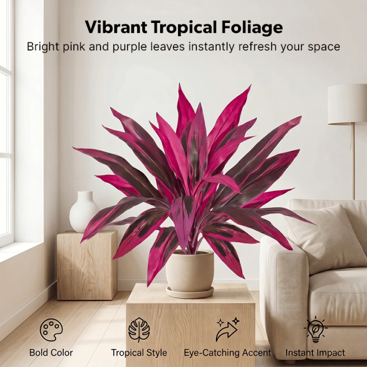 Over 1,200+ sold this month! ⚡Mini Boston Fern with Pink & Purple Foliage – Compact Size, Big Tropical Style