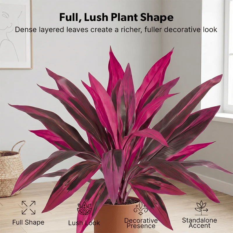 Over 1,200+ sold this month! ⚡Mini Boston Fern with Pink & Purple Foliage – Compact Size, Big Tropical Style