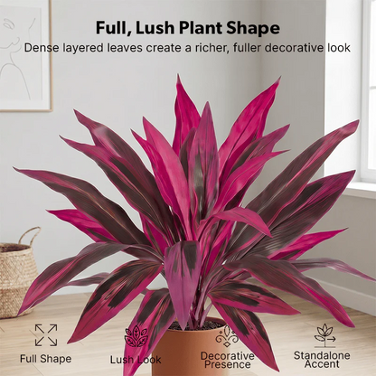 Over 1,200+ sold this month! ⚡Mini Boston Fern with Pink & Purple Foliage – Compact Size, Big Tropical Style